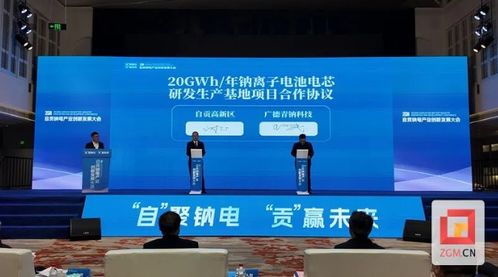 擁抱綠色未來 2024自貢鈉電產(chǎn)業(yè)創(chuàng)新發(fā)展大會(huì)召開