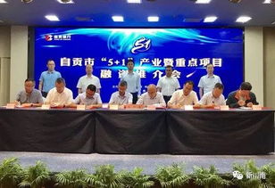 總投資額531.39億元 自貢推介 5 1 產(chǎn)業(yè)重點(diǎn)項(xiàng)目100個(gè)