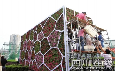 4000萬盆鮮花同時(shí)開放扮靚首都 - 中國自貢燈會(huì),燈會(huì)彩燈界的行業(yè)門戶網(wǎng)站,聚合彩燈企業(yè)提供最全的彩燈會(huì)燈展花車信息,搜羅展會(huì)活動(dòng)信息和歷屆燈會(huì)集錦